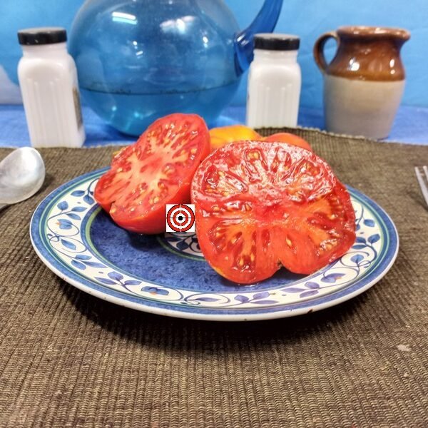 Soldier 37 Tomato Slicing Tomatoes