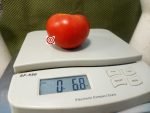 Saint Pierre Tomato - Image 5