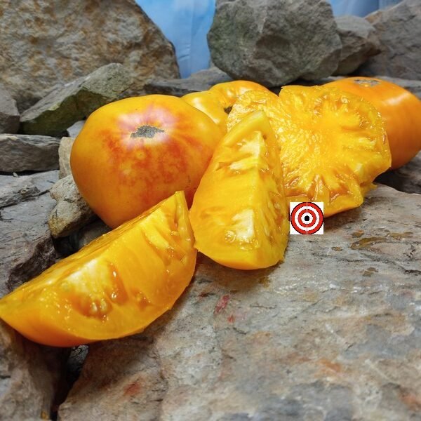 Staroobryadcheskiy Tomato Seeds
