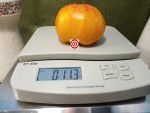 Staroobryadcheskiy Tomato Slicing Tomatoes.