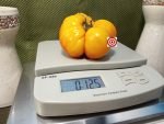 Staroobryadcheskiy Tomato Yellow Tomatoes