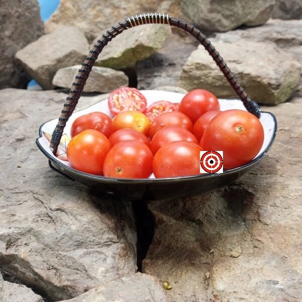 Sweet Cranberry Tomato Heirloom Tomatoes