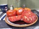 Thessaloniki Tomato