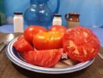 Thessaloniki Tomato Heirloom Tomatoes