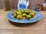 Tiger Allegardo Tomato Cherry Tomatoes