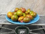 Tiger Allegardo Tomato Stripped Tomatoes