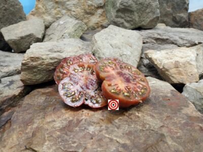 Tim's Black Ruffles Tomato Bounty Hunter Seeds Heirloom Seeds