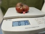 Tims Black Ruffles Tomato Slicing Tomatoes