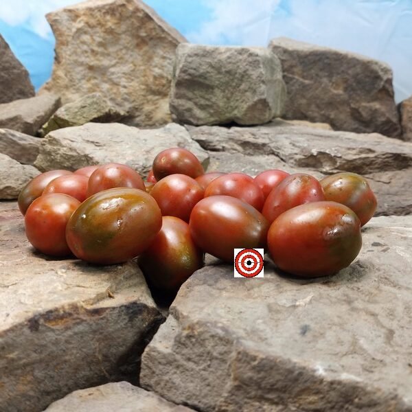 Tsunshigo Tomato