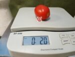 Uc82B Tomato Salsa Tomatoes