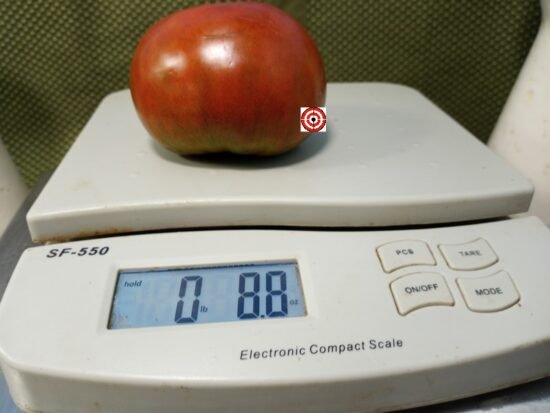 Valdamire's Favorite Tomato