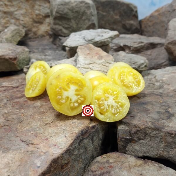 Vernissage Yellow Tomato