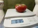Violet Noir Tomato