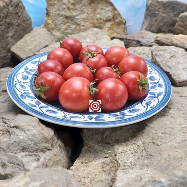 Vnuchok Tomato Red Tomatoes