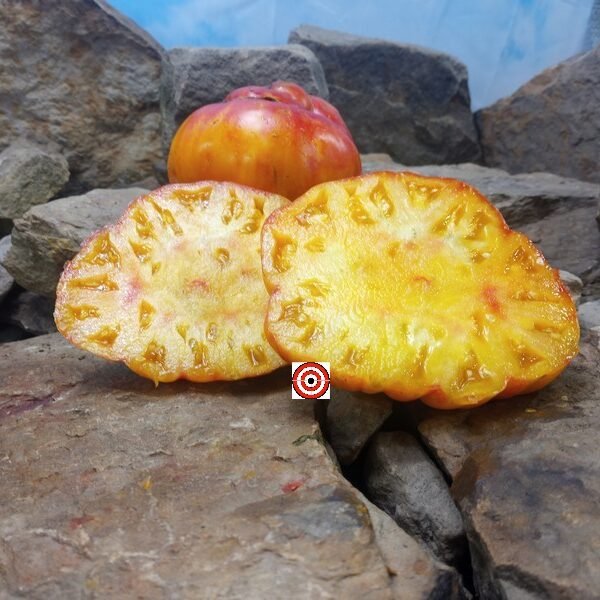 William's Striped Tomato