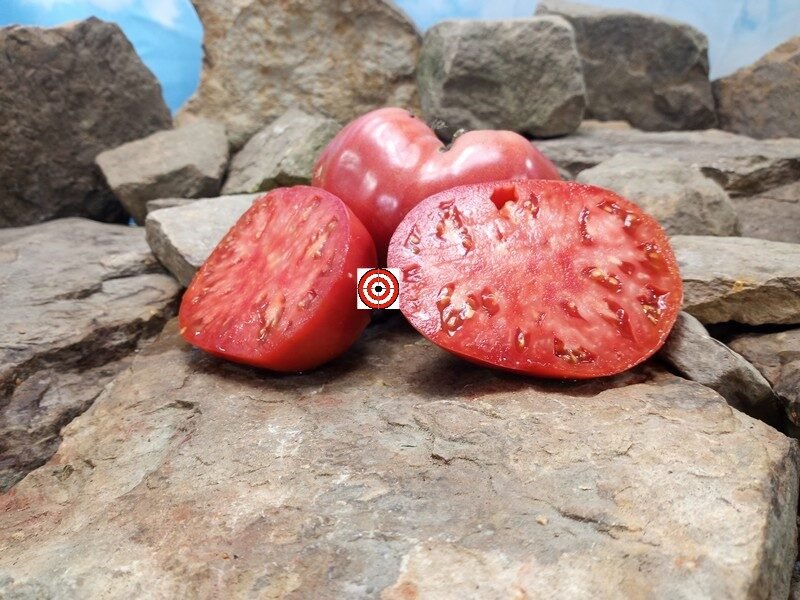 Wolford s Wonder Tomato Bounty Hunter Seeds Heirloom Tomatoes