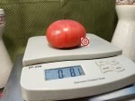 Wonder Of The World Tomato