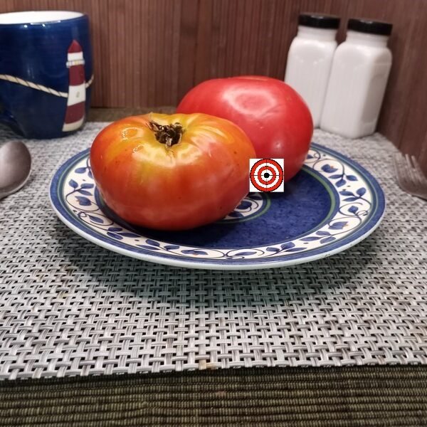 Wonder Of The World Tomato Beefsteak Tomatoes