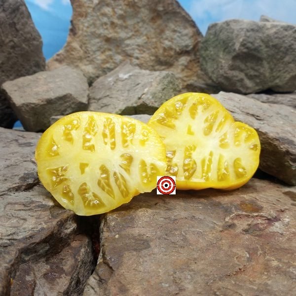 Yellow Bosnian Tomato