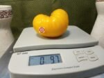 Yellow Bosnian Tomato Large Tomatoes
