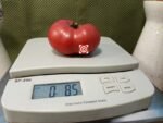 Yusupov Tomato