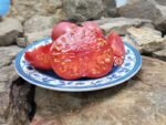 Yusupov Tomato Heirloom Tomatoes