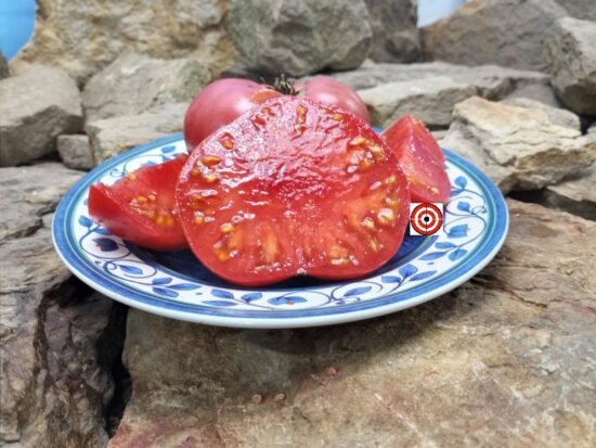 Yusupov Tomato Heirloom Tomatoes
