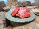 Yusupov Tomato Red Tomatoes