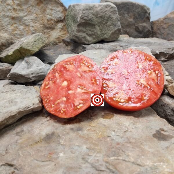 Zade Wilson Tomato Heirloom Tomatoes