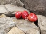 Zahnradtomate Tomato - Image 11