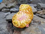 Beauty King Tomato Seeds