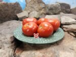 Brown's Wanaker Tomato
