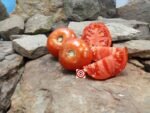 Brown's Wanaker Tomato Beefsteak Tomato