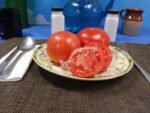 Brown's Wanaker Tomato Heirloom Tomatoes