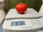 Brown's Wanaker Tomato Red Tomatoes