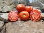 Brown's Wanaker Tomato Seeds