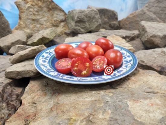 Crovarese Tomato