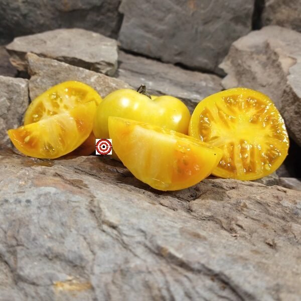 Dwarf Caro Rich Tomato.