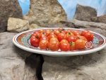 Dwarf Pinocchio Red Micro Tomato - Image 3