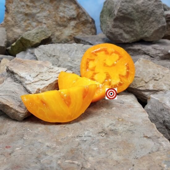 Heliod Tomato
