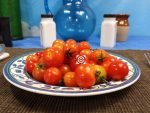 Dwarf Pinocchio Red Micro Tomato - Image 6