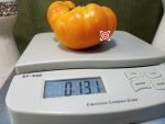 Tobolsk Tomato Slicing Tomatoes