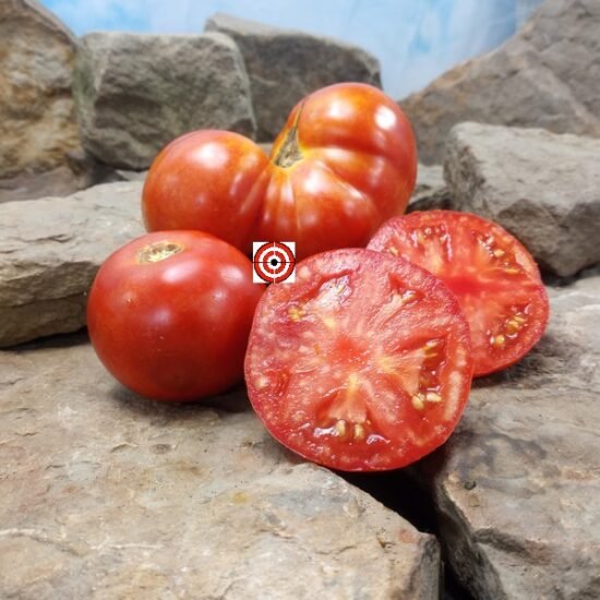 Yellow Road Dog Red Tomato Beefsteak Tomatoes