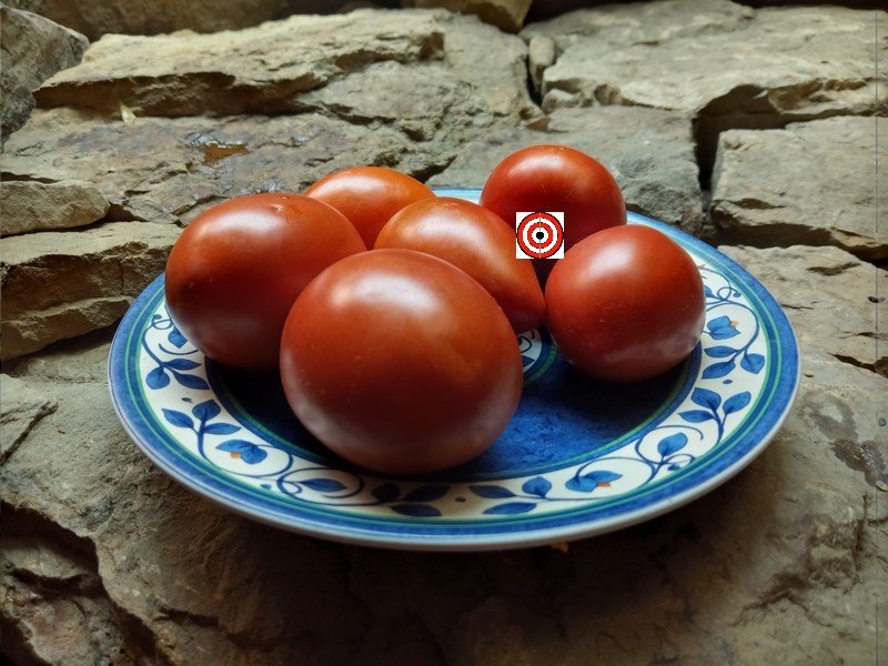 Heirloom Tomatoes Russian Big Roma Tomato Seeds Available Here ...