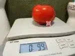 2 Hawks Tomato