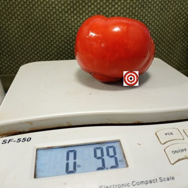 2 Hawks Tomato