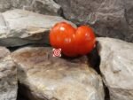 2 Hawks Tomato Beefsteak Tomatoes