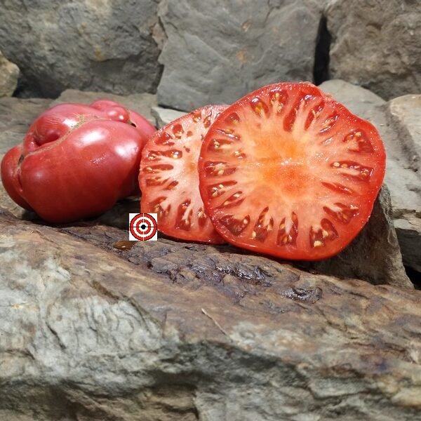 Abe Hall Tomatoes