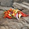 Aji Omni Color Pepper