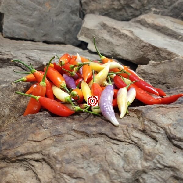 Aji Omni Color Pepper